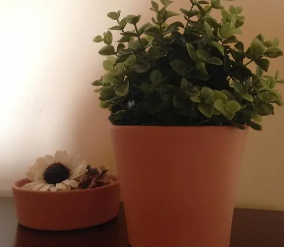 Çiftlik konaklama Agriturismo Passitti Belpasso