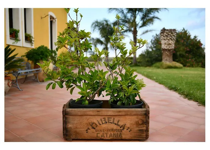 Agriturismo Passitti Çiftlik konaklama Belpasso
